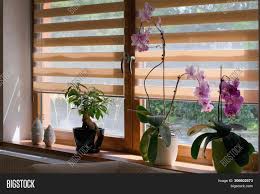One or more ir leds blast out as much light as possible, acting as a floodlight. Window Roller Duo Image Photo Free Trial Bigstock