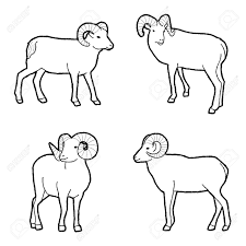 Facebook youtube pin interest instagram. Bighorn Sheep Animal Vector Illustration Hand Drawn Cartoon Art Royalty Free Cliparts Vectors And Stock Illustration Image 132652913