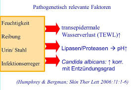 Windeldermatitis Und Intertrigo Erkennen Und Behandeln