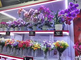 Kedai serbaneka eco rm2 convenience store. Pokok Hiasan Artificial Dekoraya