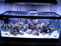 T5ho Information Lighting Forum Nano Reef Community