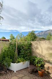 How to create a raised vegetable garden. Create A Simple Raised Vegetable Garden Delineate Your Dwelling
