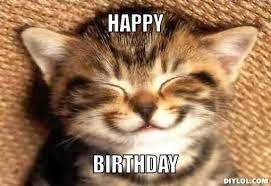 Pin By Diane Papineau On Anniversaire Happy Birthday Funny Cats Cat Birthday Memes Kittens Cutest