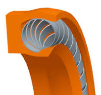 Spring Energized Lip Seals – Eurosealings