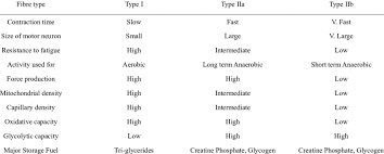 summary of muscle fibre types and metabolic activity