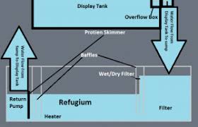 There are a bunch of guides that better explain the benefits of sumps and the types and what. Diy Sump Guide The Mandarin Garden