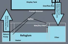 Find your perfect plumbing parts with us! Diy Sump Guide The Mandarin Garden