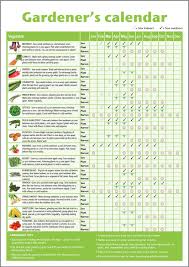 a3 novice gardeners beginners vegetable growing gardening