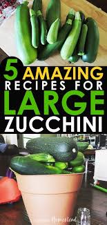 5 Amazing Recipes For Large Zucchini What To Do With Giant Zucchini Zucchini Large Zucchini Recipes Zucchini Vegetable