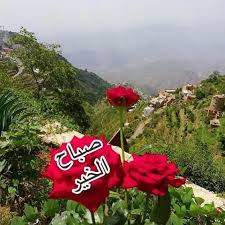 صباحكوووووم مناظر من بلاد الطعام اليمن ريمة انت لا تعرف اليمن yemen beladat3am arabian peninsula arabians peninsula