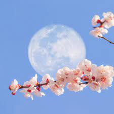 Ces pages sont consacrées à la prochaine pleine lune 2021. Pleine Lune Du 27 Fevrier 2021 En Vierge Quels Sont Ses Effets Femme Actuelle Le Mag