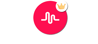 Musical Ly Official Rafal Music Have Fun