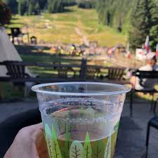 They are available in our office as well as at many. Mt Hood Adventure Park Government Camp Or