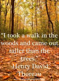  Pin On Nature Photography Quotes