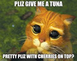 The fastest meme generator on the planet. 20 Please Memes That Ll Do The Trick Ultima Status
