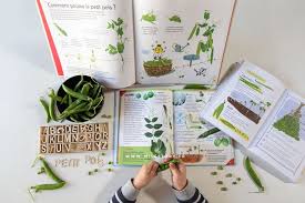 Ief Coschooling Ddm Livres Et Activites Sur Les Fruits Et Legumes De Saison En Maternelle Activites De Motricite Fine Activites De Motricite Motricite Fine