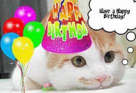 Animated Gif By Jediariel Happy Birthday Cat Happy Birthday Animals Cat Birthday