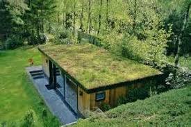 Toiture Vegetalisee Talus Pente Ecosia Grune Architektur Flachdach Begrunung Erdhaus