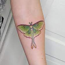 No background. | Luna moth tattoo, Bug tattoo, Cute tattoos