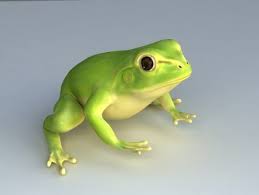 Green Tree Frog Free 3d Model 3d Model Green Tree Frog Animals