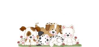 We have shipped puppies throughout the united states without any trouble. Hair Pups Is Your Source For Akc Havanese Akc Chocolate Havanese Havanese Puppy Chocolate Havanese Havanese Puppies Chocolate Havanese Puppies Champion Havanese Stud Services