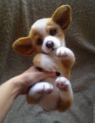 shenok korgi dom nashel zakazat na yarmarke masterov 8jge3ru kukolnye domiki moskva vojlochnye sobaki shenok korgi chuvstvovali zhivotnye