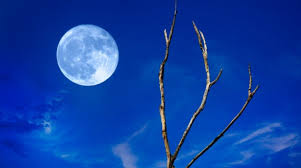 Luna AlbastrÄƒ De SambÄƒtÄƒ Va Fi Ultima PanÄƒ In 2020 Oradea In Direct