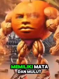 Qual É A Tradução De O Din Din Din Din Dun Ma Din Din Dun