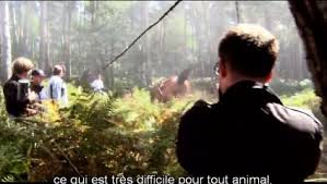 Pour un article historique sur le sujet, voir rôle du cheval dans la guerre. Cheval De Guerre De Steven Spielberg 2011 Film De Guerre