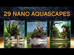 Twenty Nine Of The Best Nano Aquascapes In America Youtube Aquascape The Incredibles America