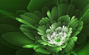 Background hijau green vectors download free vectors download background hijau green vectors vector art choose from over a million free vectors clipart graphics vector art images design templates and illustrations created by artists worldwide. Hd Wallpaper Black And Green Flower Vector Art Petals Herbs Backgrounds Wallpaper Flare