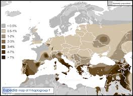 It is a typically semitic haplogroup, making up. Haplogroup T Y Chromosomal Dna Eupedia