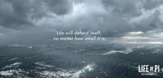 Life Of Pi Life Of Pi Quotes Life Of Pi Powerful Words