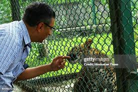 625 Sanjay Gandhi National Park Stock ...