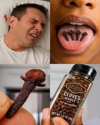 Everybody loves cloves, but most people don't know the power of holding  them in your mouth... 💬👀