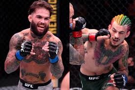 Тогда будущая знаменитость пришла к выводу, что заниматься. Shon O Melli Sravnil Nokaut Garbrandta So Svoim On Vybrosil Udar Budto Dralsya V Bare Fightnews Info