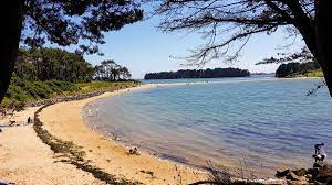 We did not find results for: Les Plus Belles Plages Du Golfe Du Morbihan One Two Trips