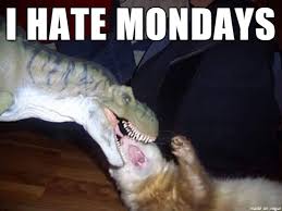 Cat Having A Bad Day Meme On Imgur