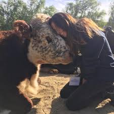 She founded the gentle barn foundation a decade ago and has given a permanent home to over 14 species of animals that were rescued from abuse or neglect. Gentle Barn Foundation Reviews And Ratings Santa Clarita Ca Donate Volunteer Review Greatnonprofits