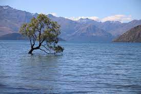 Lake Wanaka A Okoli