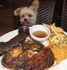 Popeye The Foodie Dog On Instagram Friday Night Bbq For Popeye St Louis Ribs Tri Tip And Roasted Chicken With Sweet Mas Roasted Chicken Tri Tip Foodie