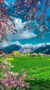 Flower nature blue sky background. Landscape Blue Sky Flowers Pink View Green Nature Relax Hd Mobile Wallpaper Peakpx