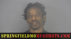 Springfield MO Mugshots
