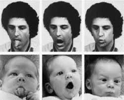 From old french imitacion, from latin imitatio. Infants And Imitation Psychology Today