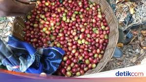 Bagi anda yang berminat dan memenuhi kualifikasi diatas, silahkan kirim lamaran lowongan kerja bumn pos indonesia (persero) situbondo januari 2021 melalui layanan … 44 400 Kg Kopi Arabika Made In Situbondo Diekspor Perdana Ke As