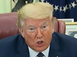 Flag burning isn't free speech. It's sanctioned arson.** You're not making  a statement—you're melting nylon and polyester, pumping toxic chemicals  into the air. These fools aren't paying for cotton or wool flags.