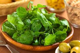 Salad (latuca sativa) adalah tanaman sayuran jenis berdaun dari keluarga asteraceae yang di tanam kebanyakkanya untuk di makan sebagai makanan salad segar. 6 Manfaat Selada Air Untuk Bantu Menjaga Kesehatan Tubuh