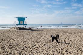 Dog Beach, Huntington Beach
