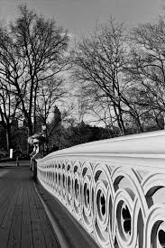 Black And White New York Picture Black And White Photograph Of Bow Bridge In Central Park New York City Film Photography 35mm Black And White Photographs Gray Aesthetic