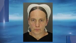 Lancaster Co. woman pleads guilty to having dogs 'debarked'